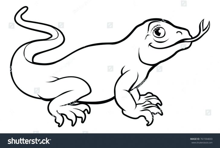 728x490 Komodo Dragon Sketch Coloring Pages Flowers Free Printable Center