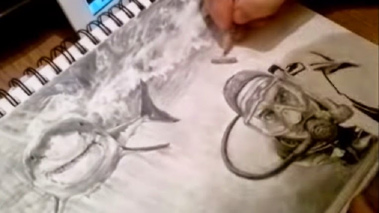 764x430 Shark Attack News Video Watch A Drawing Unfold Of A Scuba Diver
