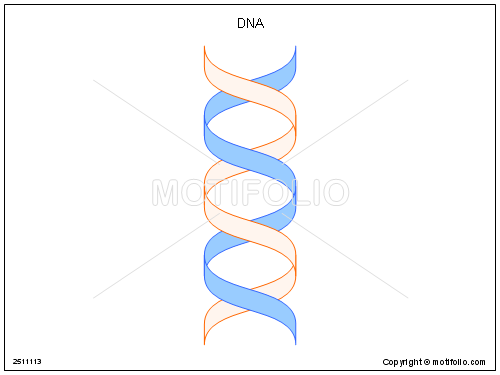 500x375 Dna Illustrations