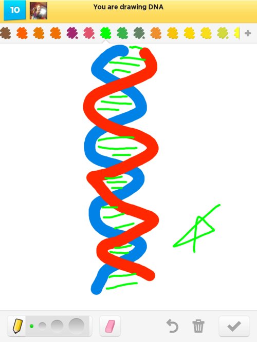 500x667 Dna Drawings