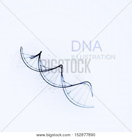 450x470 Dna Chain. Vector Illustration Dna Vector Amp Photo Bigstock