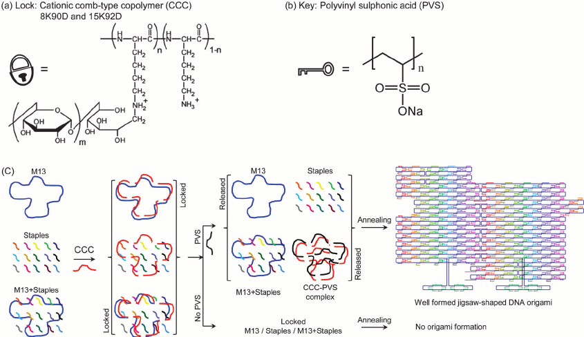 845x488 The Line Drawing Of The Structures Of (A) A Cationic Comb Type