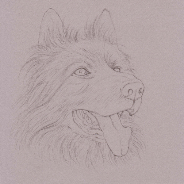 600x600 Uart Tip Drawing Fur With Colored Pencils Step By Step