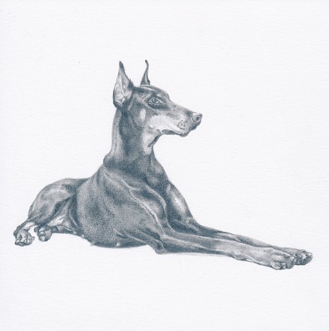 Doberman Drawing at GetDrawings | Free download