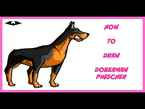 480x360 How To Draw A Doberman Pinscher For Beginner