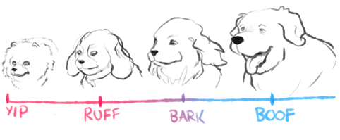 482x199 Dog Chart Dogs Know Your Meme