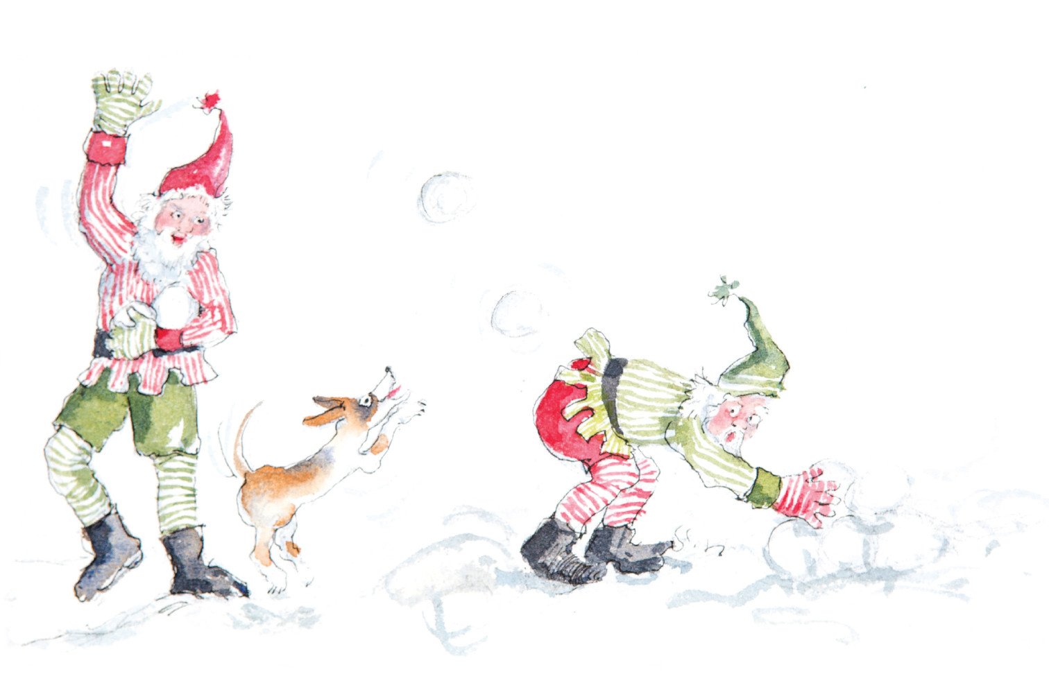 1512x1008 Why Dogs Don'T Bark