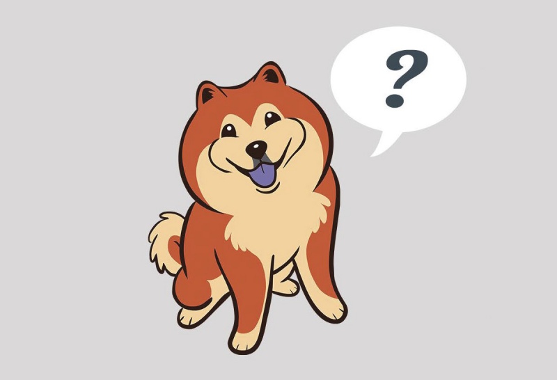 800x546 Ispeak Dog Website Explains Dog Language To Users The Bark