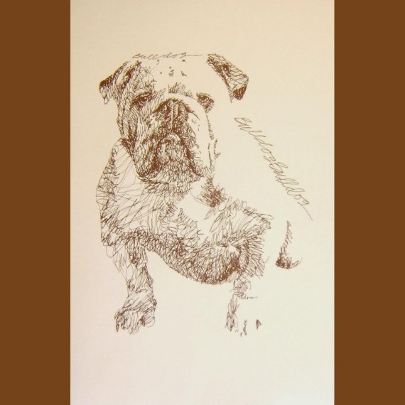 570x570 English Bulldog Dog Art Portrait Drawing From Words. Your Dog'S