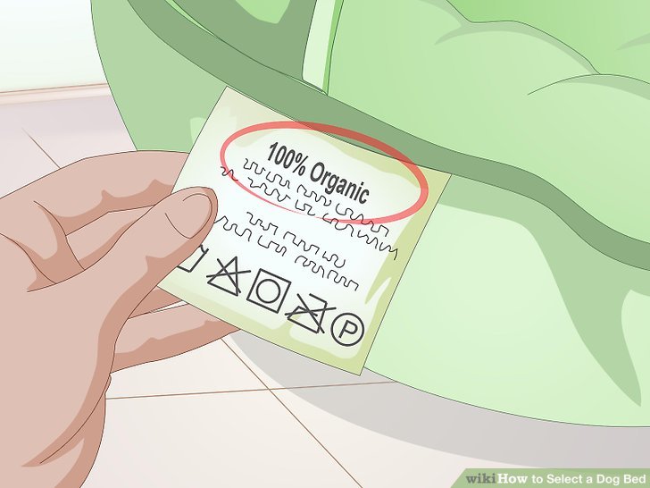 728x546 3 Ways To Select A Dog Bed