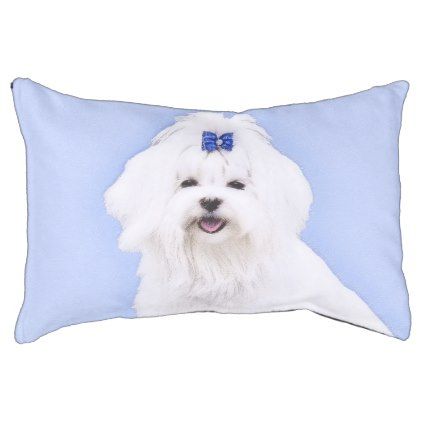 422x422 Maltese Pet Bed