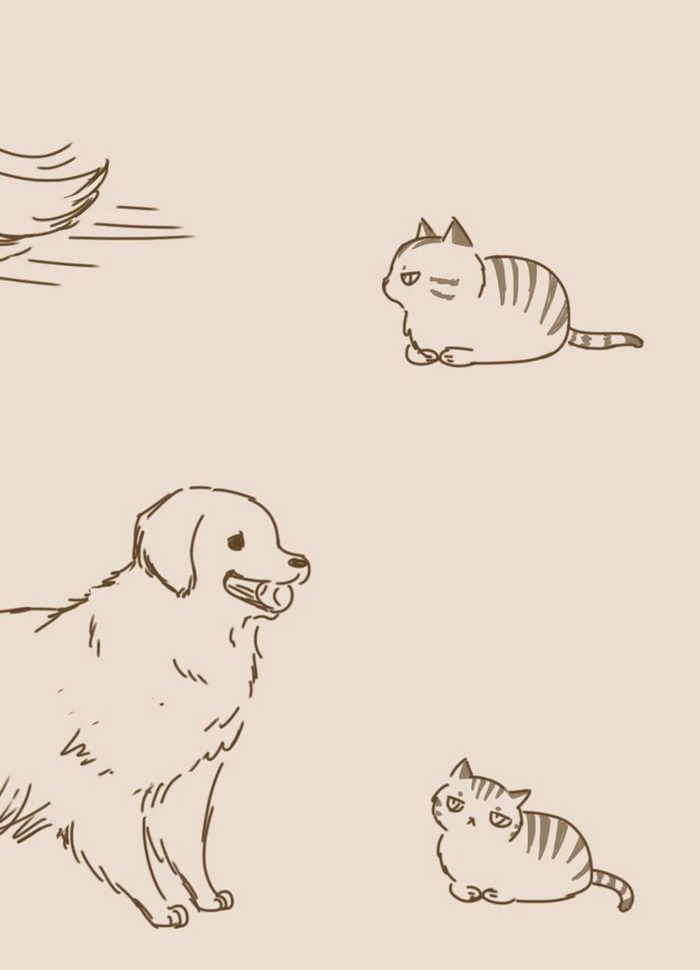 700x970 Pr1nceshawn And Cats By Lynol Amazing Creatures +