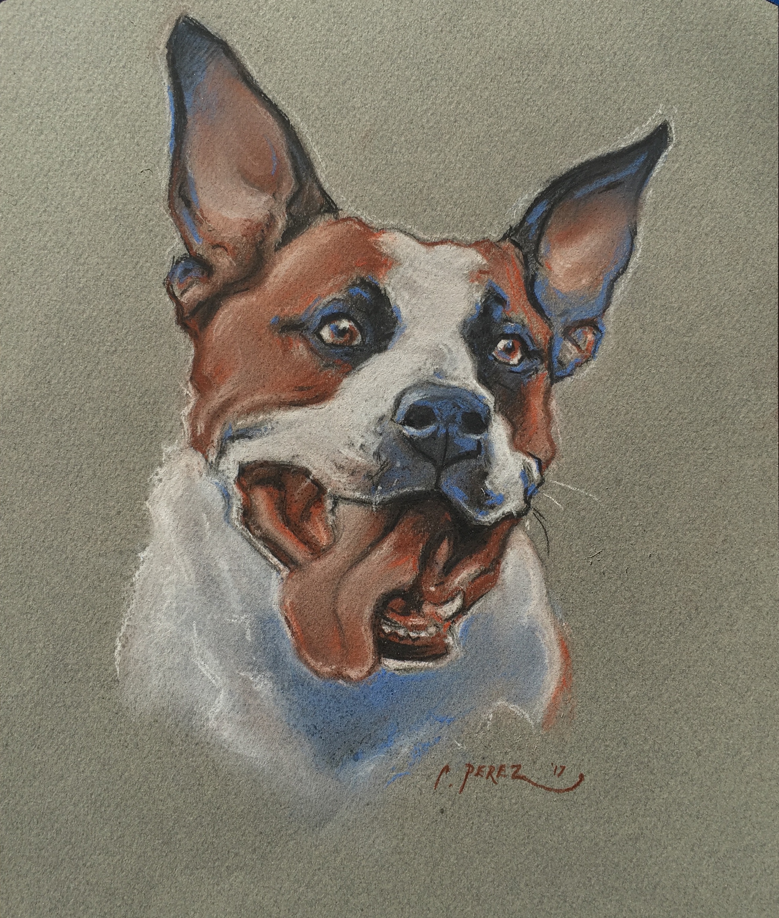 2619x3085 Custom Pet Portrait 8.5 X 11 Charcoal Drawing Gift Certificate