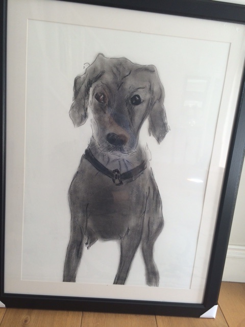 480x640 Original Framed Pen And Charcoal Drawing 2331 Inch