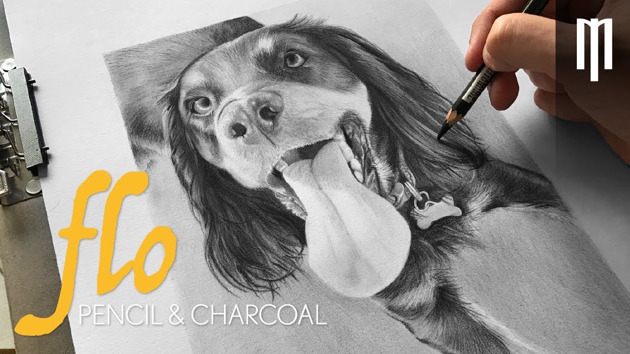 1280x720 Realistic Charcoal Drawing Of A Dog