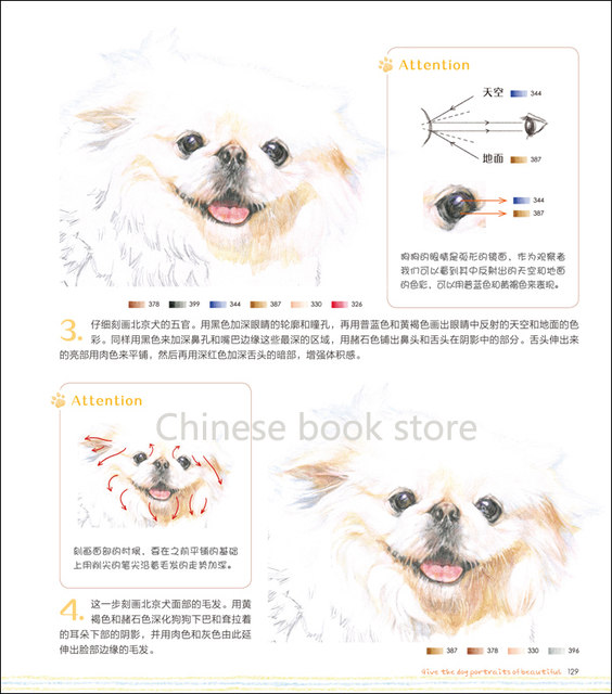 564x640 Online Shop Chinese Color Pencil Drawing Books For Adult Dog