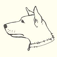 200x200 Animal Drawing Tutorial