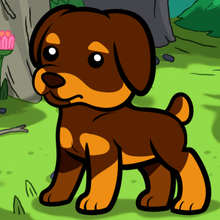 220x220 How To Draw How To Draw A Rottweiler For Kids