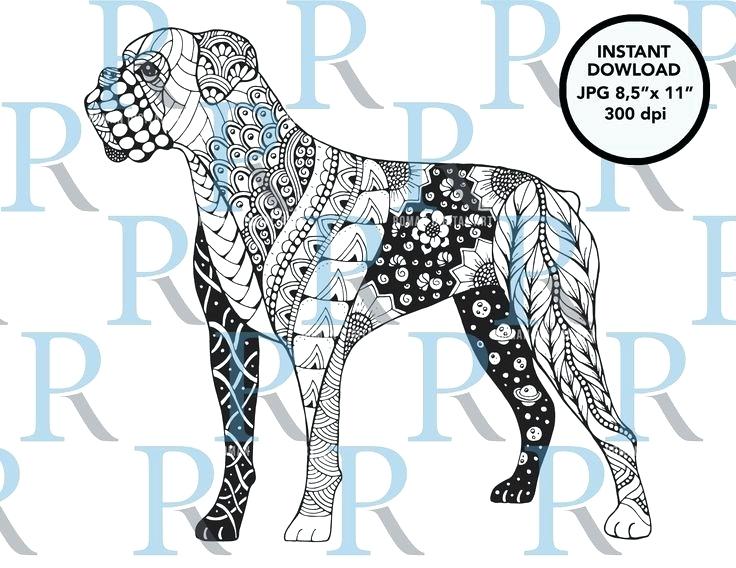 736x568 Great Dane Coloring Pages Boxer Dog Drawing Dog Coloring Page