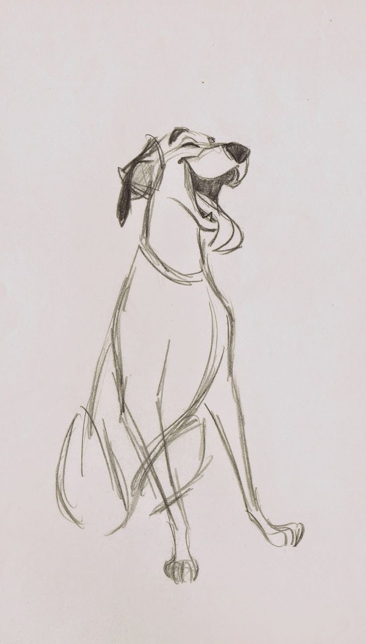 736x1295 Sketches Of A Dog Best Cartoon Dog Drawing Ideas