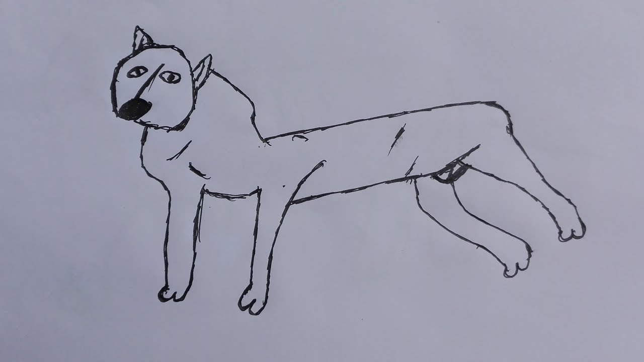 1280x720 How To Draw A American Stafforces Dogs Draw A Realistic Dog Step