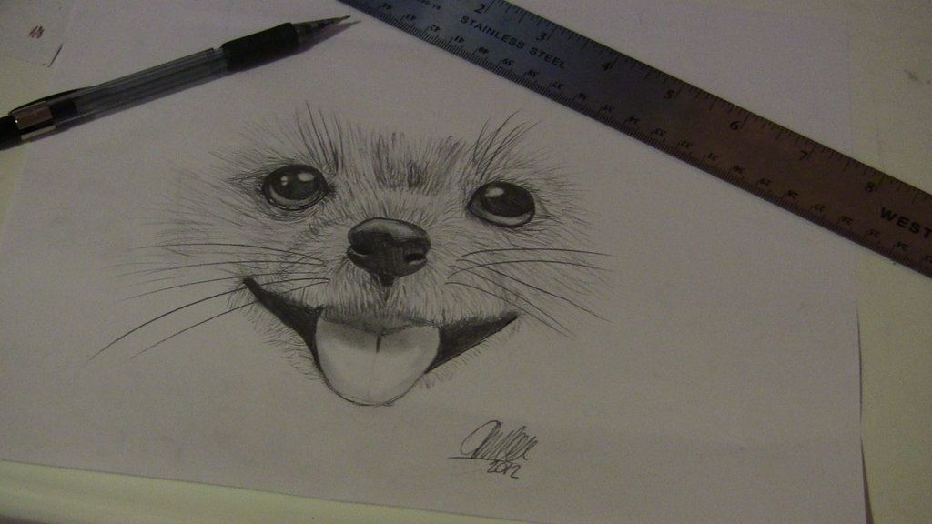 1024x576 Realistic Dog Drawing . By Mrsxerxesbreak