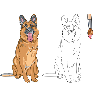 380x400 Coloring Book Of Smiling Dog German Shepherd Vector Coloring