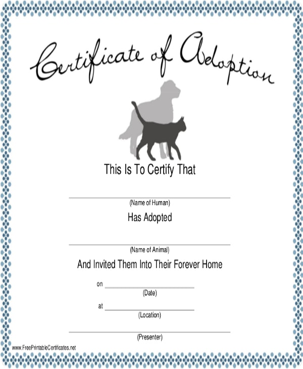 600x730 Service Dog Certificate Template 4 Drawing Adorable
