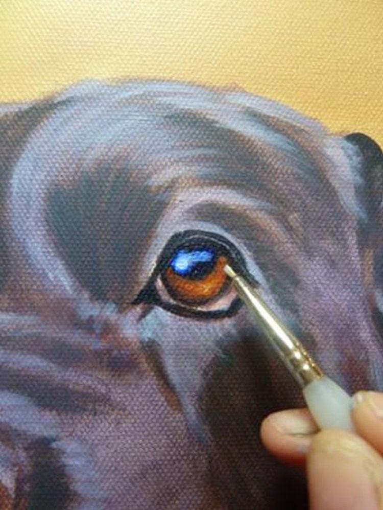 750x998 How To Paint A Dog In Acrylics Arttutor
