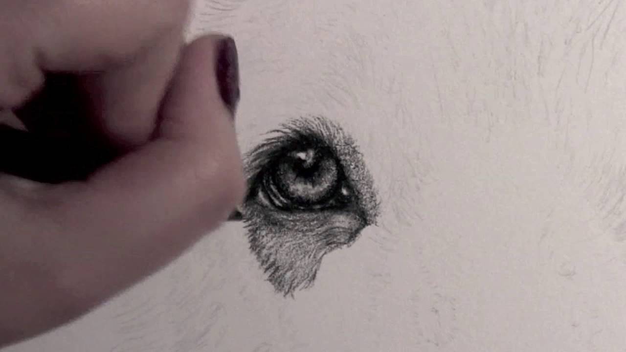 1280x720 How To Draw