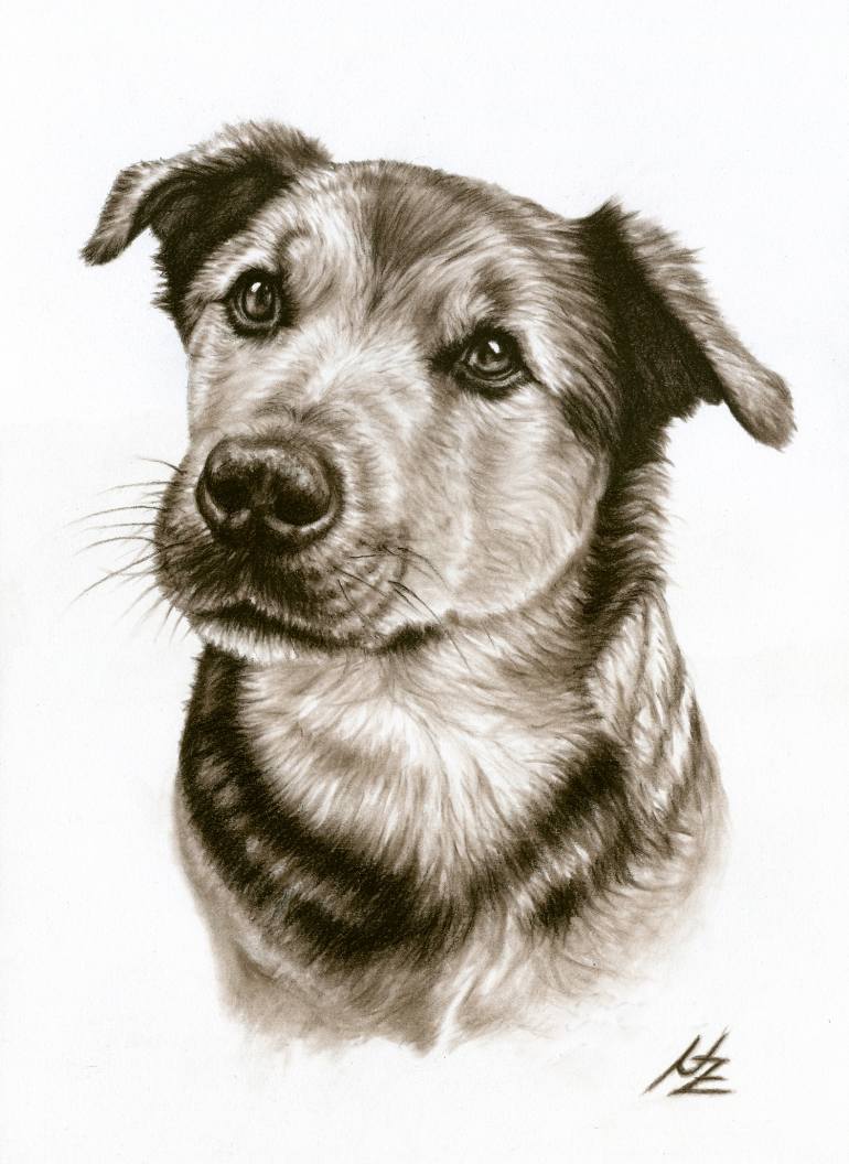 770x1056 Saatchi Art Dogs Eyes Drawing By Nicole Zeug