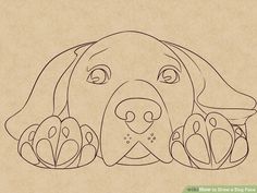 236x177 How To Draw A Dog Face (With Pictures)