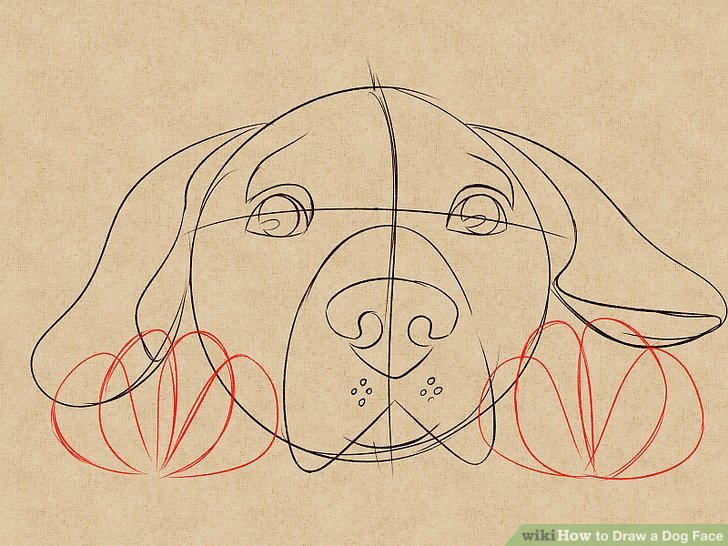 728x546 How To Draw A Dog Face (With Pictures)