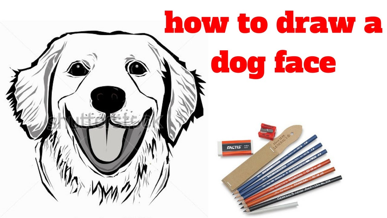 1280x720 How To Draw A Dog Face Draw Sketch