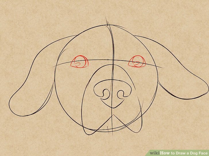 728x546 How To Draw A Dog Face (With Pictures)