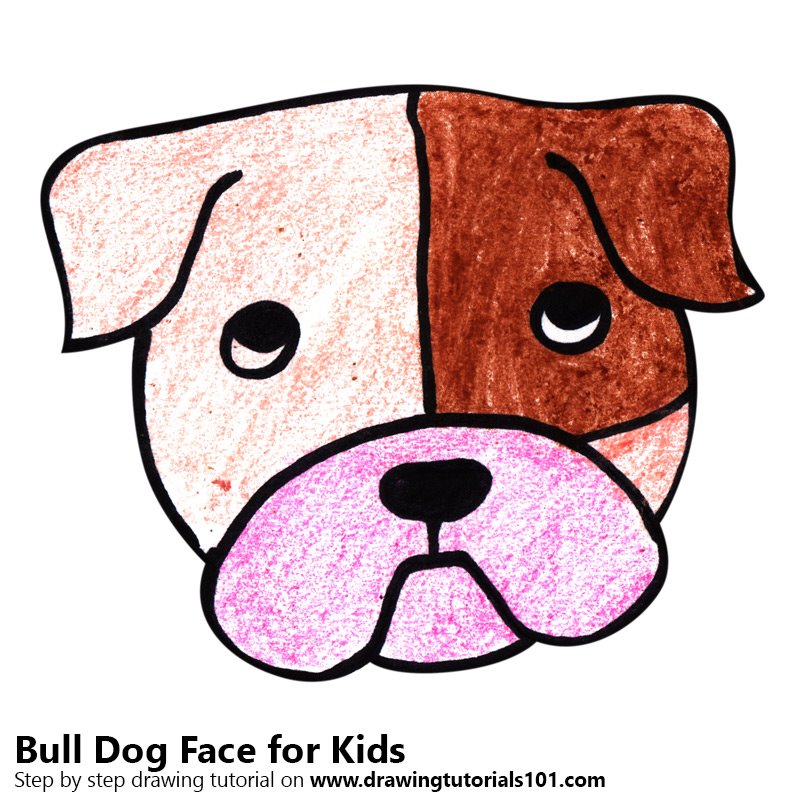 800x800 Learn How To Draw A Bull Dog Face For Kids (Animal Faces For Kids