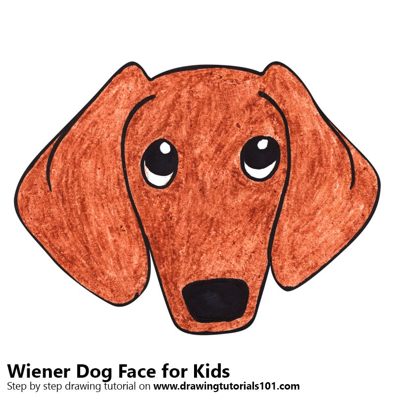 800x800 Learn How To Draw A Wiener Dog Face Kids (Animal Faces