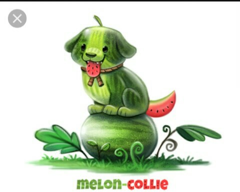 480x385 Dog Food Adorable Animal Drawings Dog Food