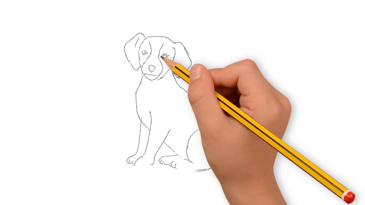 1280x720 Dog Drawing With Pencil Dog Drawing Easy How To Draw Dog