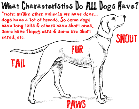 574x453 Big Guide To Drawing Cartoon Dogs Amp Puppies With Basic Shapes