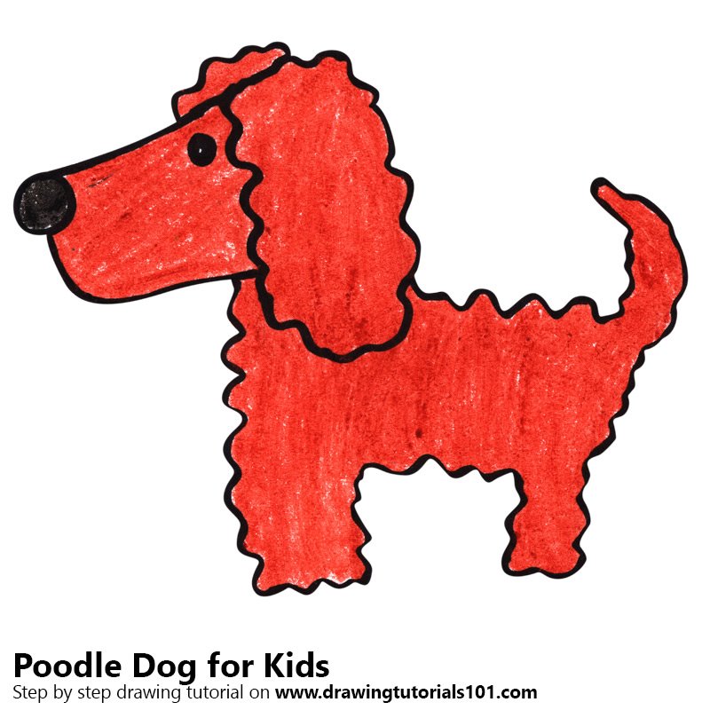 800x800 Learn How To Draw A Poodle Dog For Kids (Animals For Kids) Step By