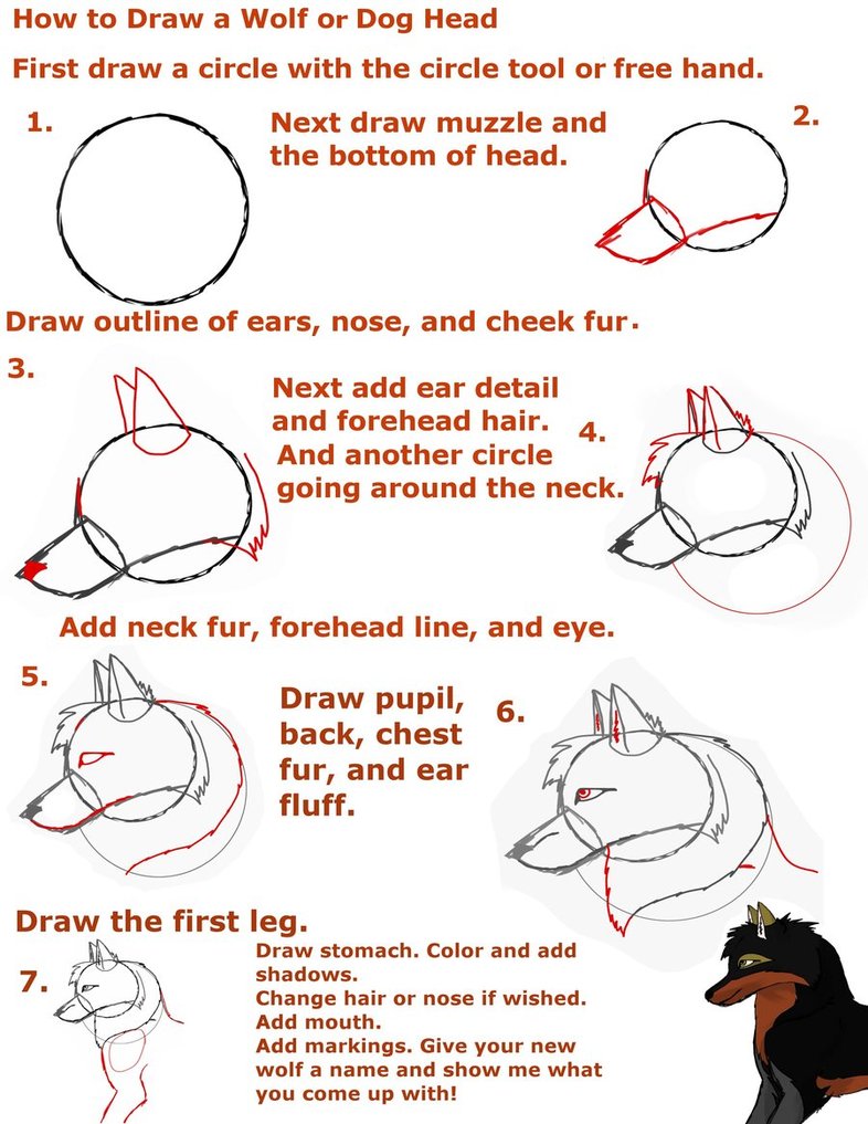 786x1017 How To Draw A Wolf Or Dog Head By Tigerstarwolf