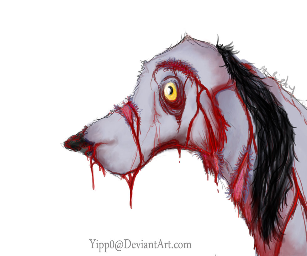 979x816 Bloody Dog Head By Yipp0