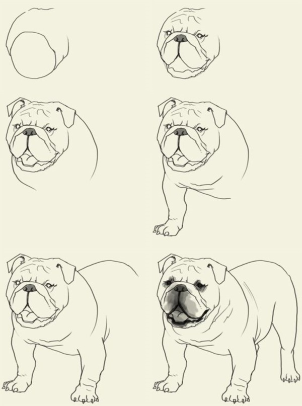 600x807 40 Simple Dog Drawing To Follow And Practice
