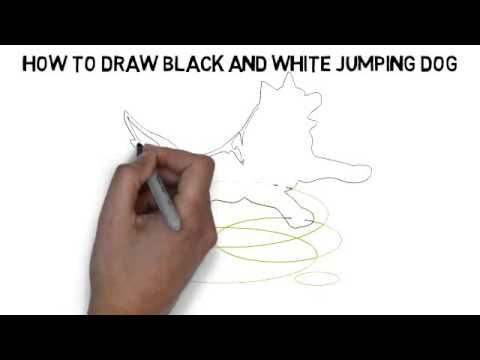 480x360 How To Draw Black And White Jumping Dog Quickly And Easily