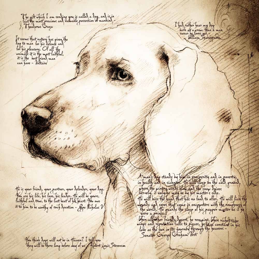 1000x1000 The Love Of Dogs Detail Of A Da Vinci Style Drawing