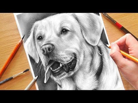 480x360 How To Draw A Realistic Dog Nose With Graphite