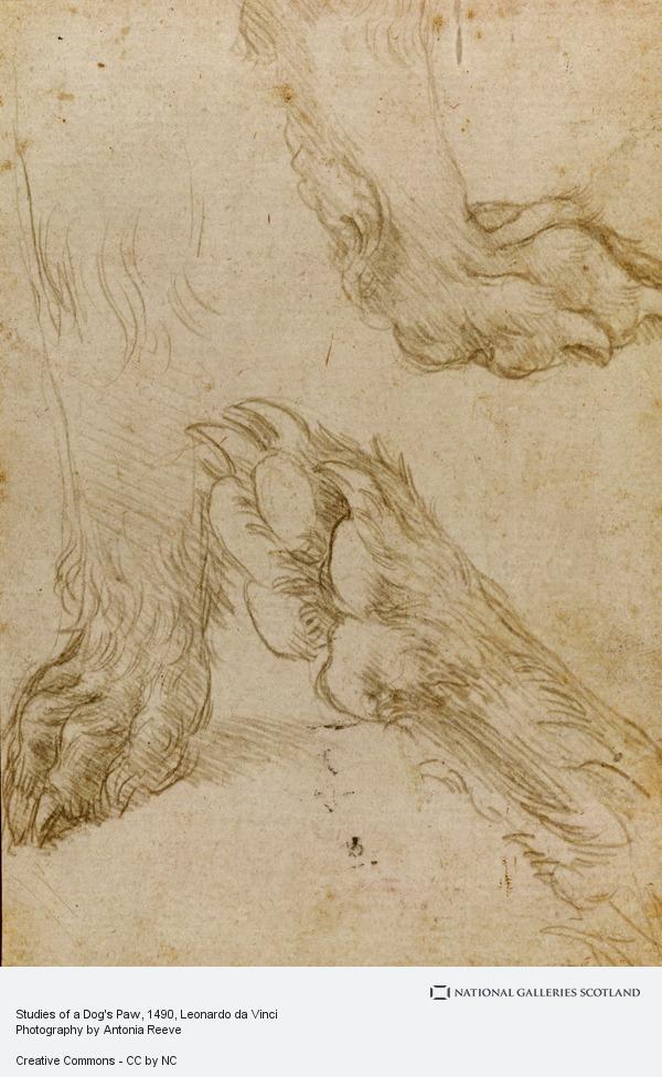600x976 Studies Of A Dog's Paw National Galleries Of Scotland