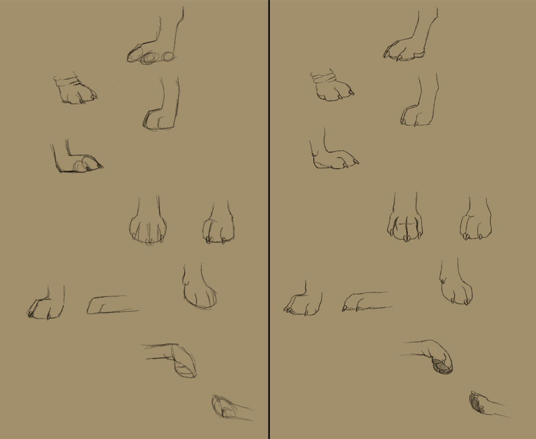 1082x887 Savanna Williams How To Draw Dogs Paws, Eyes, And Noses