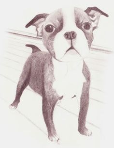 236x305 Image Result For Easy Pencil Drawings For Beginners Drawings